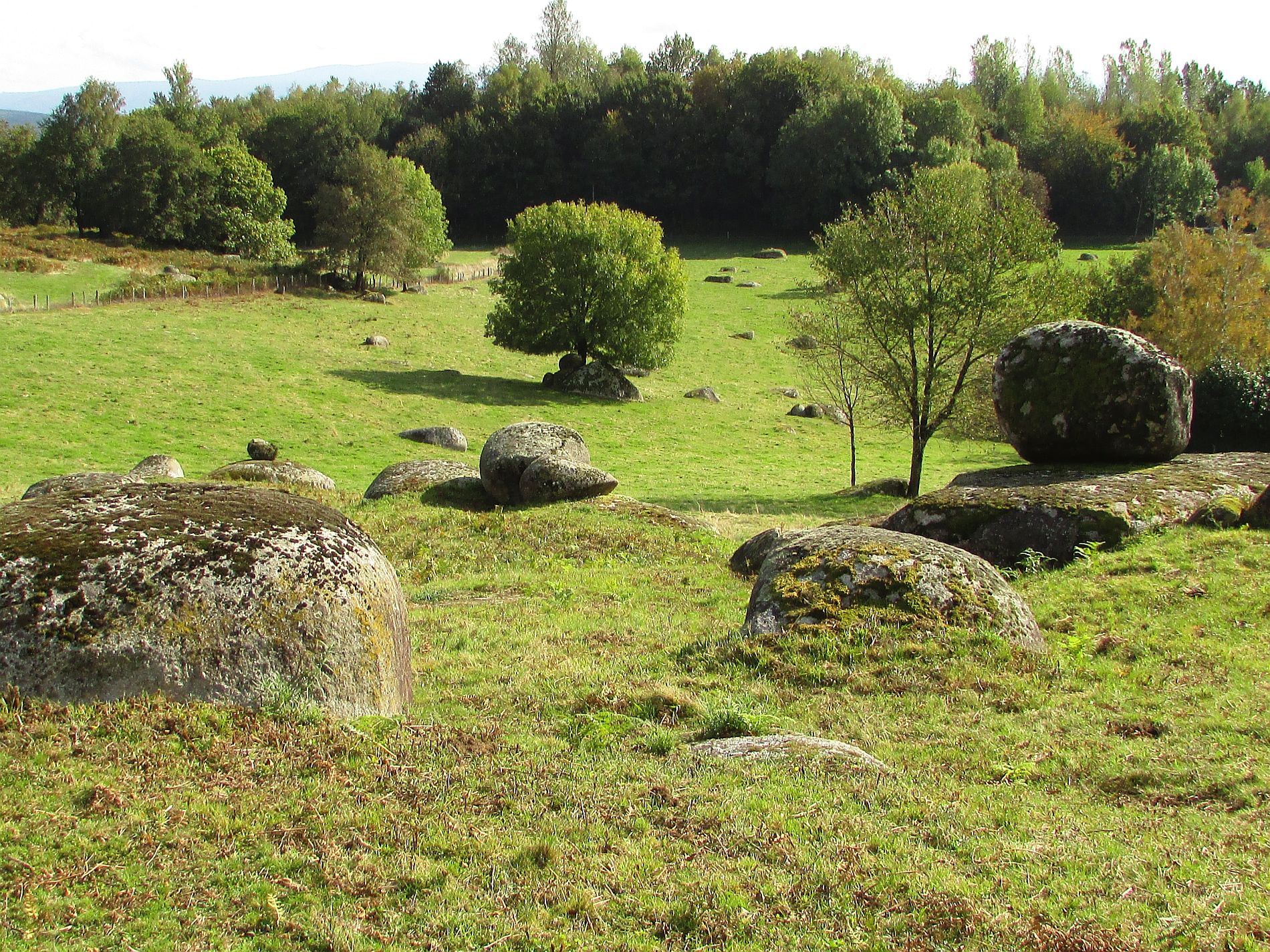 Paysage