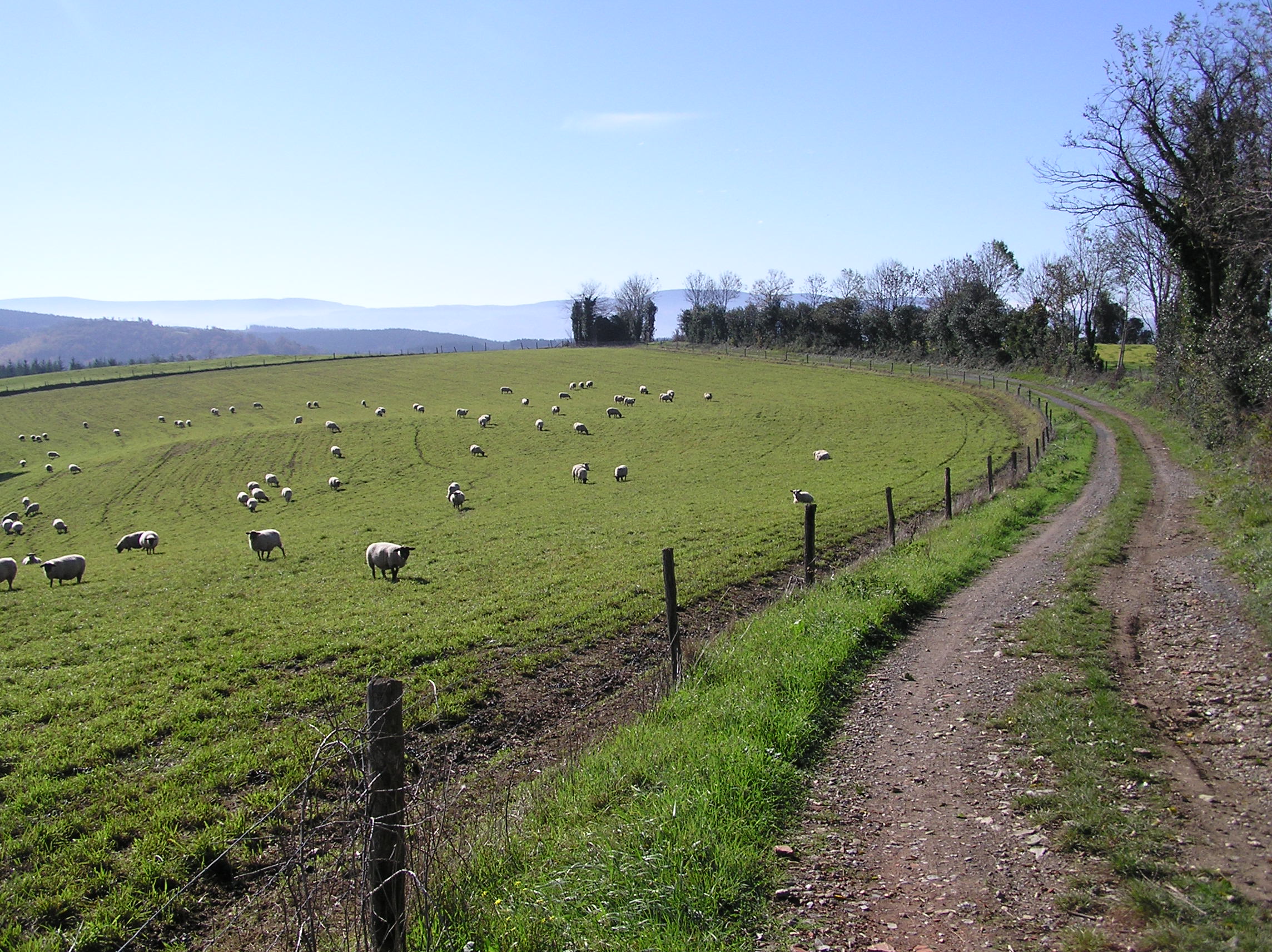 Rencontre sur le chemin...