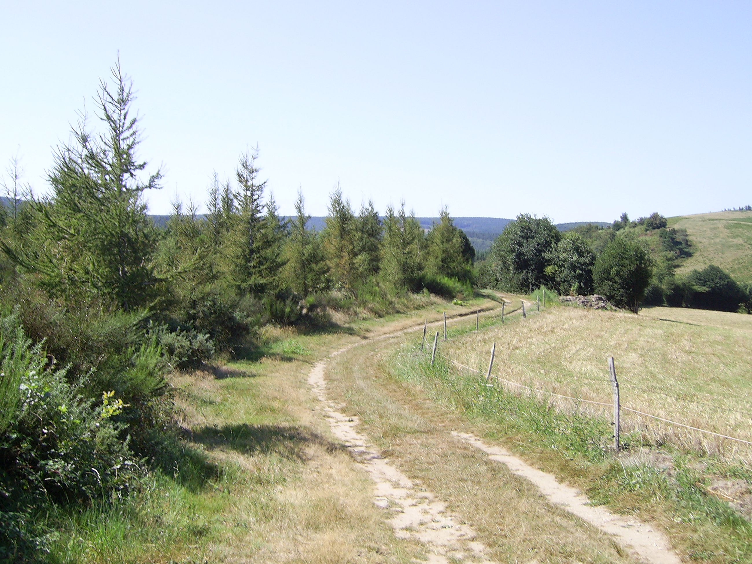 Chemin