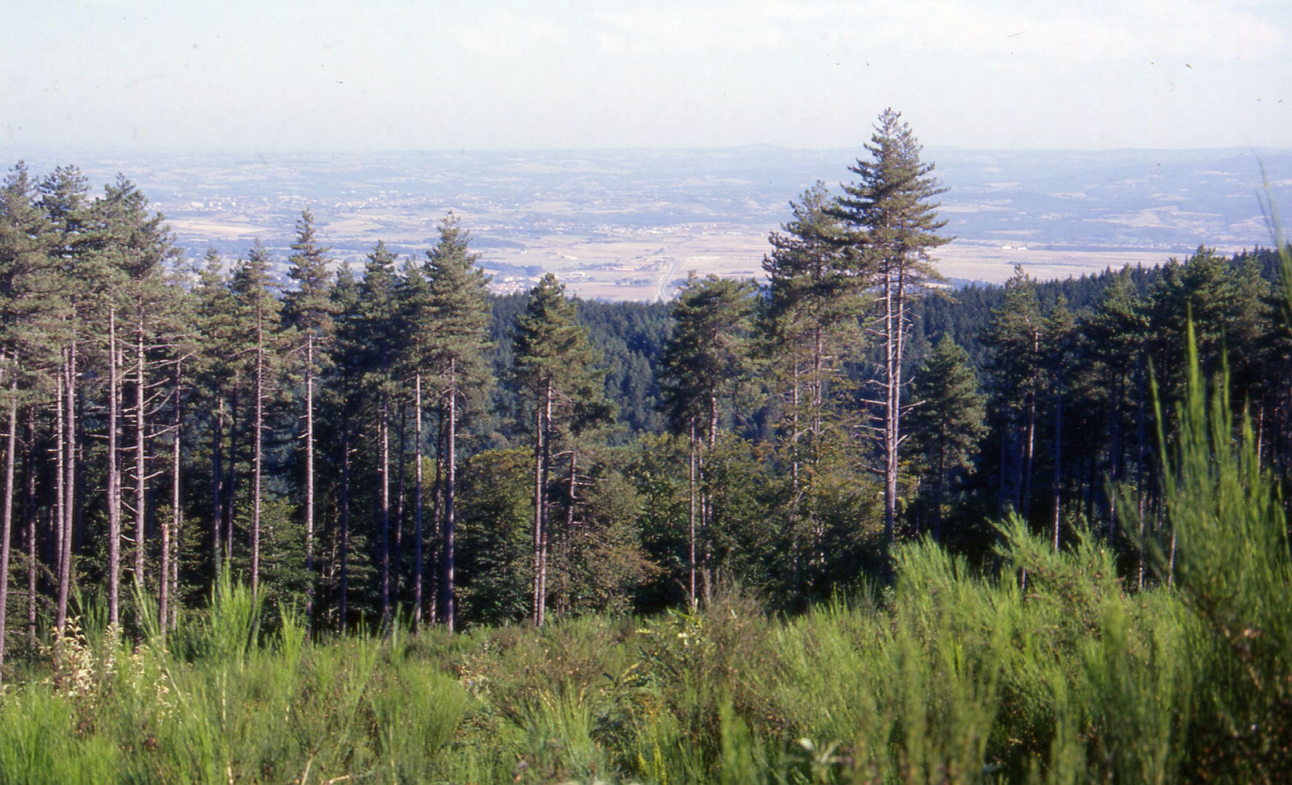 Point de vue