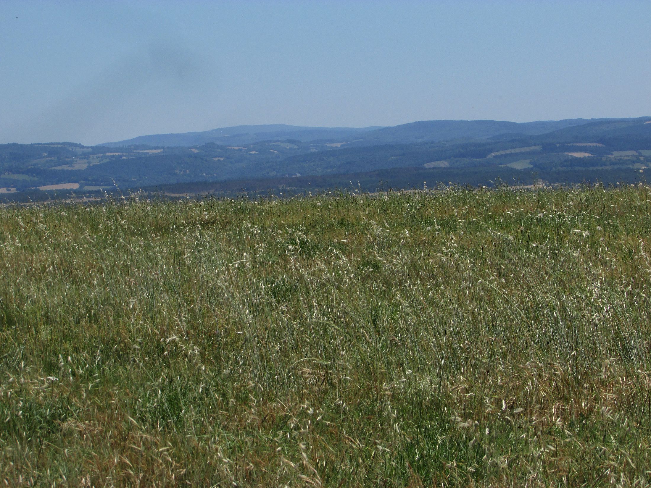 Panorama