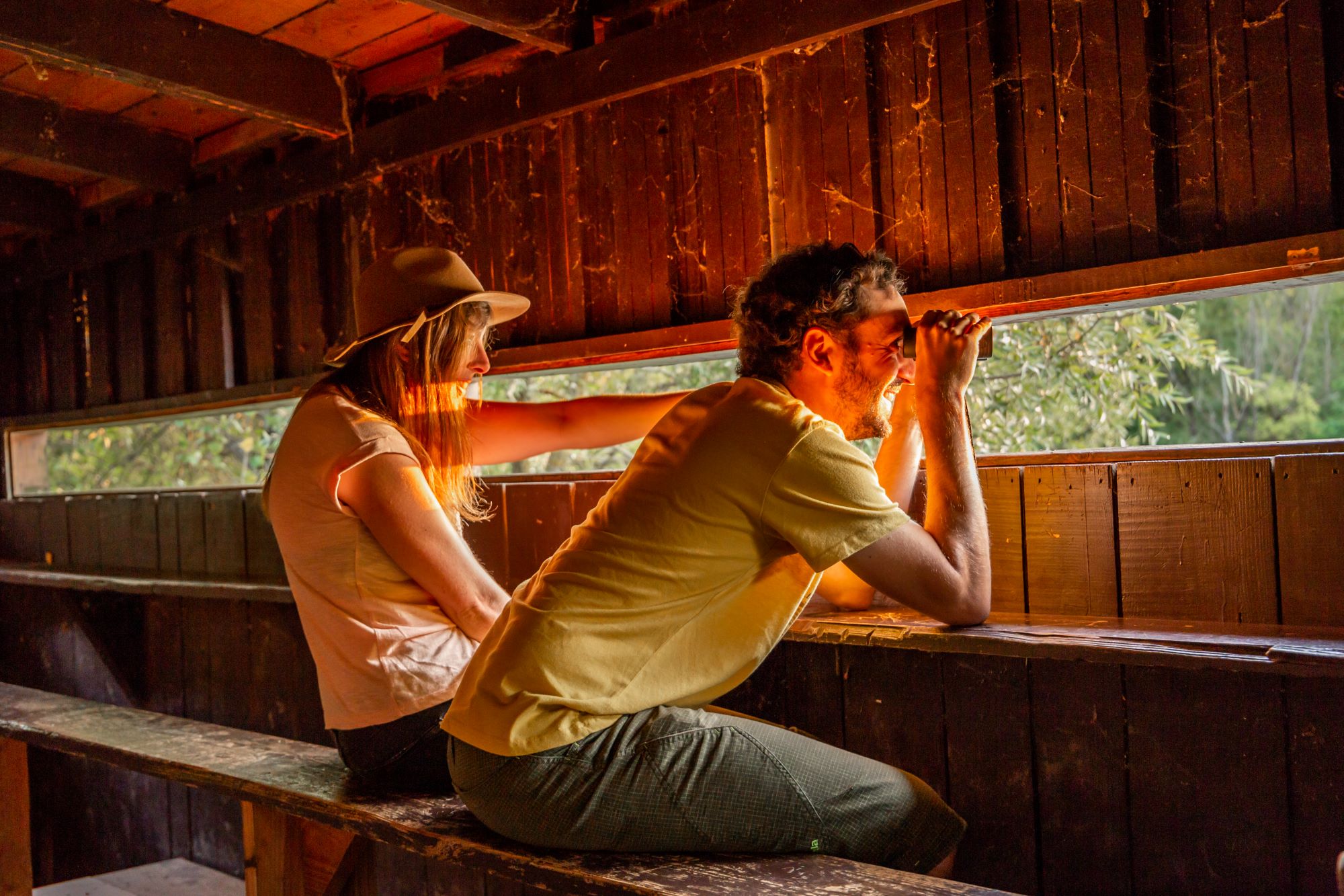 Observatoire des oiseaux