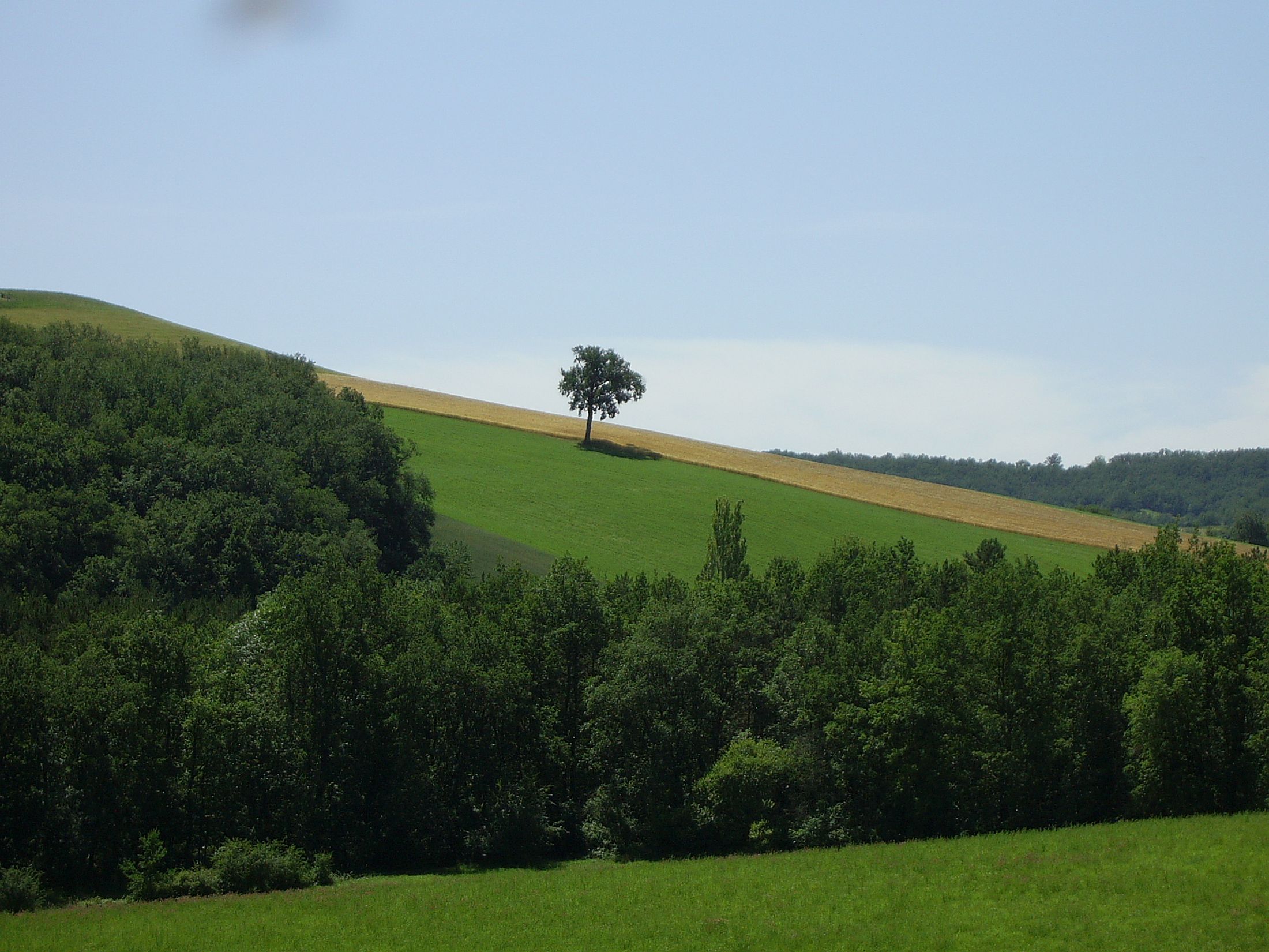 Paysage