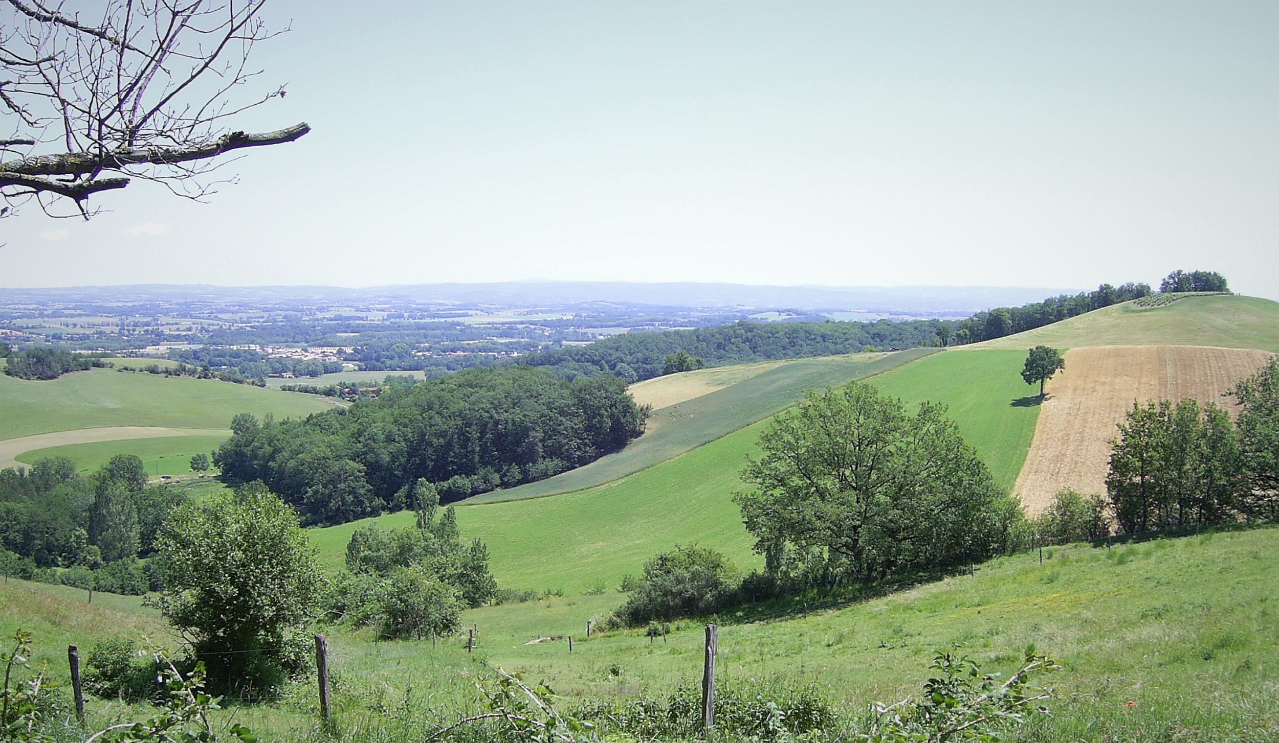 Panorama