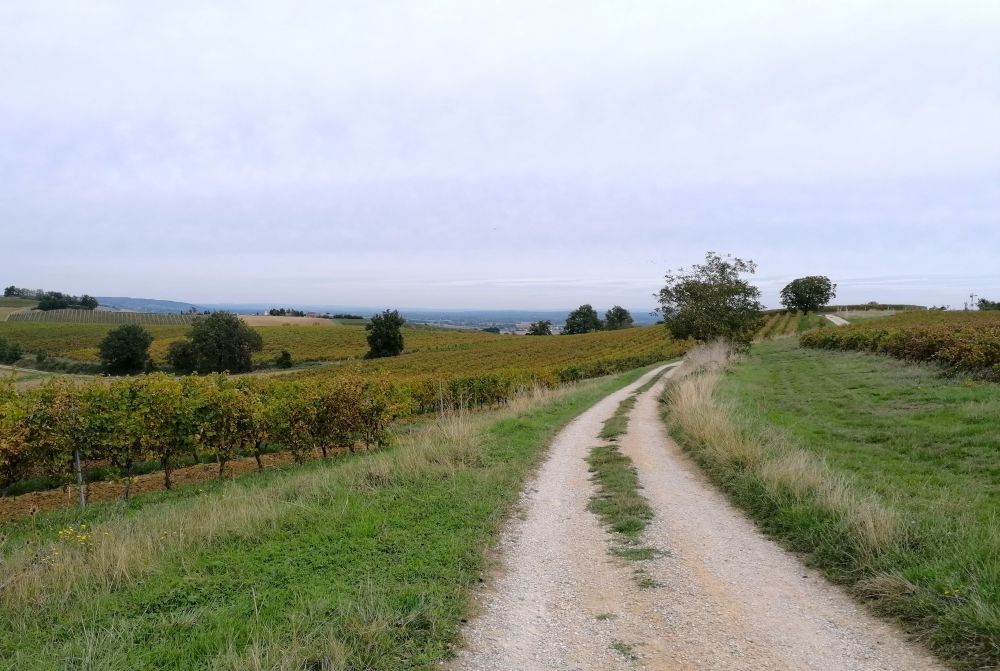 En chemin