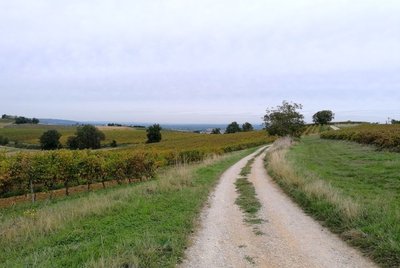 En chemin