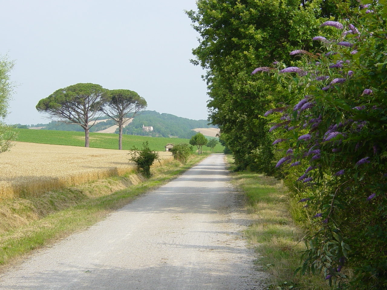 Chemin des droits de l'homme