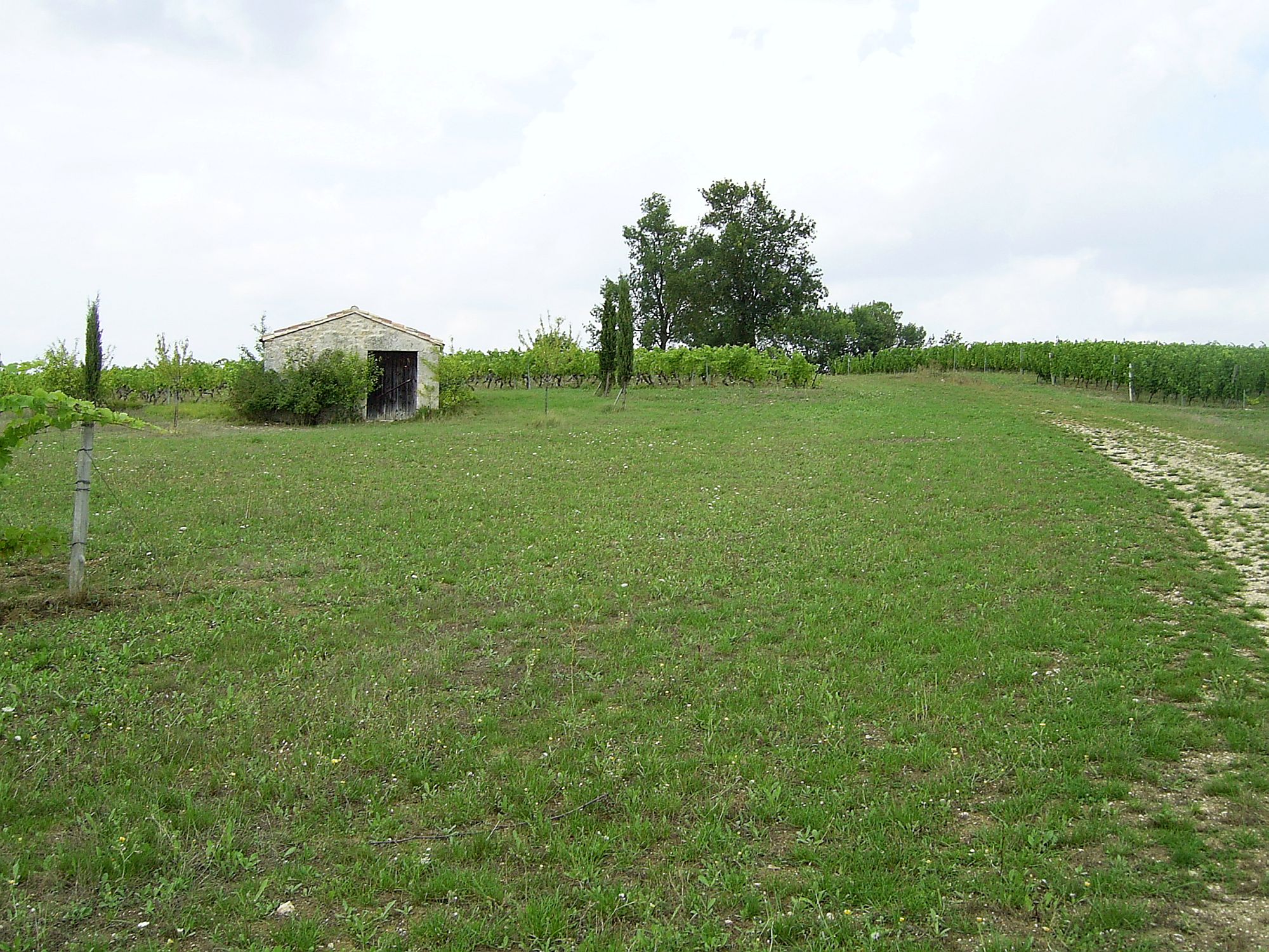 Cabane de vigne