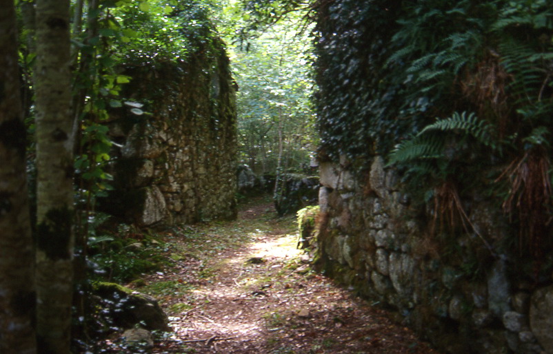 Ruines de Sicardens