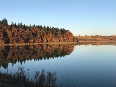 lac de Belcastel
