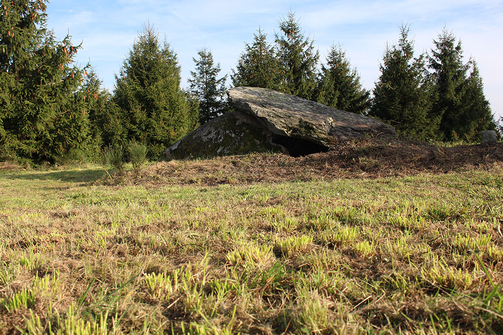 Dolmen de Peyre Levado