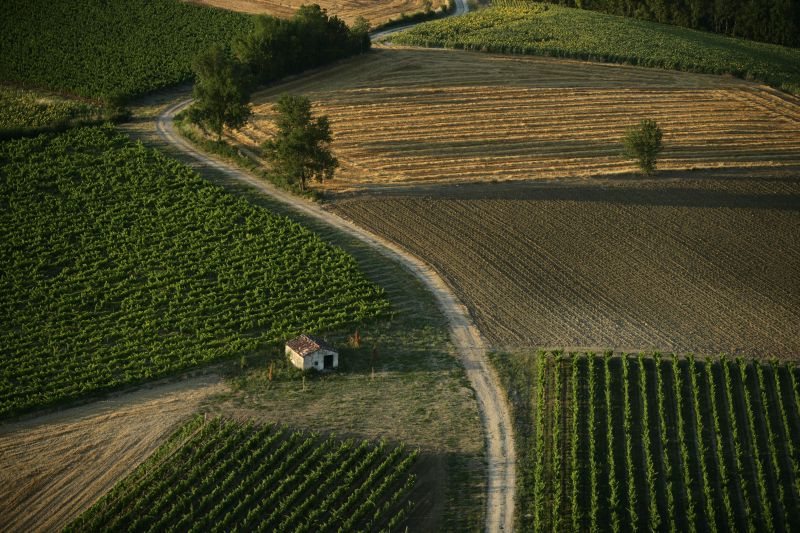 Vue aérienne vignoble