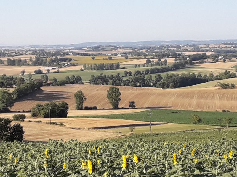 Paysage des environs de Florentin