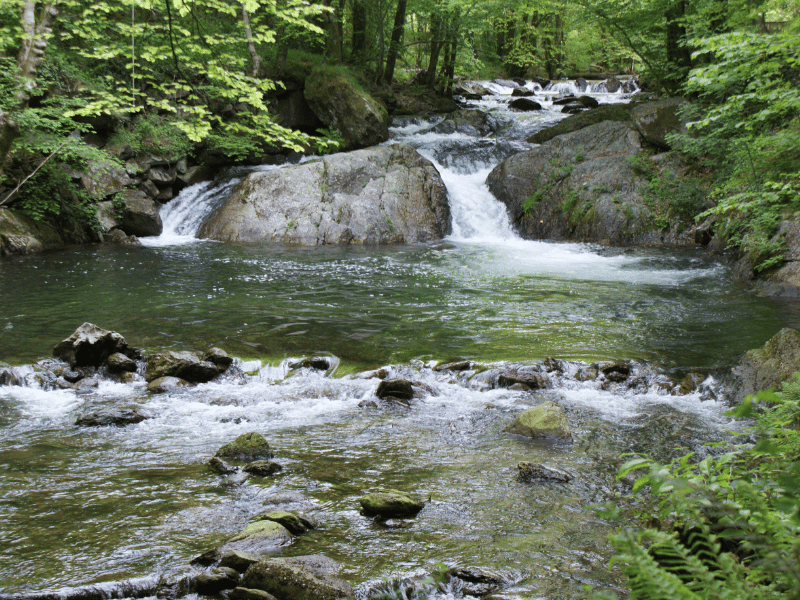 Ruisseau de Candesoubre