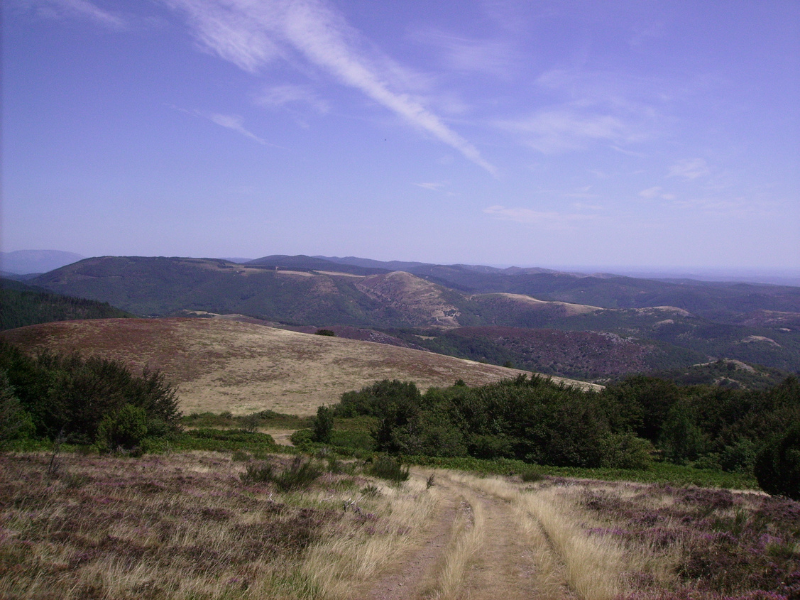 Plateau de Sales