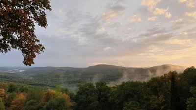 Forêt domaniale de Grésigne