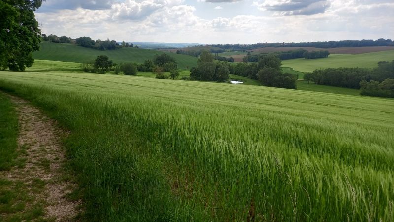 Vue depuis les hauteurs de Cestayrols.