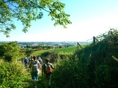 Sur le chemin
