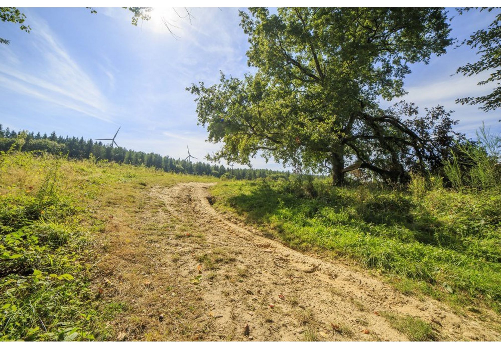 Le circuit du pas du Loup